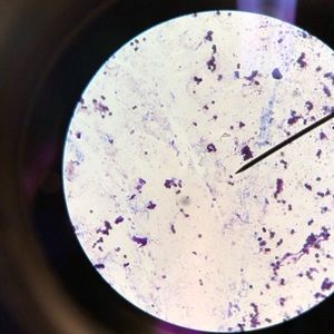 Meet your Posher, Sky